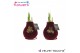 Hippeastrum gewaxt No Water Flowers Velvet Touchz® Royal Gold 2 tak/pl 