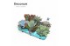Succulenten Succulenten Mix (9spc.) (decorum) 