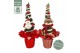 Chamaecyparis lawsoniana ellwoodii Christmas Friends® 