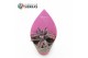 Succulenten Kalanchoe Pink Butterfly (sierra) 