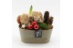 Arrangementen hippeastrum HICR-2510R Kerst Amaryllis 1 pp 