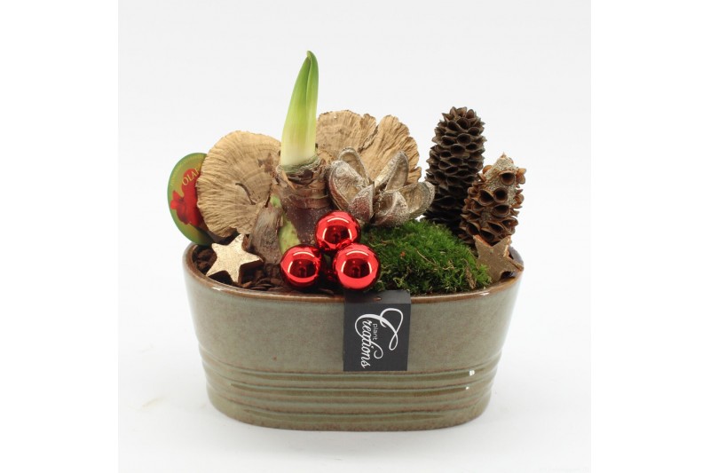Arrangementen hippeastrum HICR-2510R Kerst Amaryllis 1 pp Arrangementen hippeastrum HICR-2510R Kerst Amaryllis 1 pp