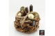 Arrangementen hippeastrum HICR-2524WLED Kerst Amaryllis 2 pp 