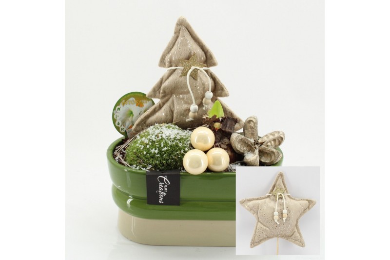 Arrangementen hippeastrum HICR-2517W Kerst Amaryllis 1 pp Arrangementen hippeastrum HICR-2517W Kerst Amaryllis 1 pp