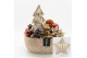 Arrangementen hippeastrum HICR-2519R Kerst Amaryllis 1 pp 