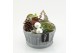 Arrangementen hippeastrum HICR-2532W Kerst Amaryllis 1 pp 