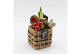 Arrangementen hippeastrum HICR-2521R Kerst Amaryllis 1 pp