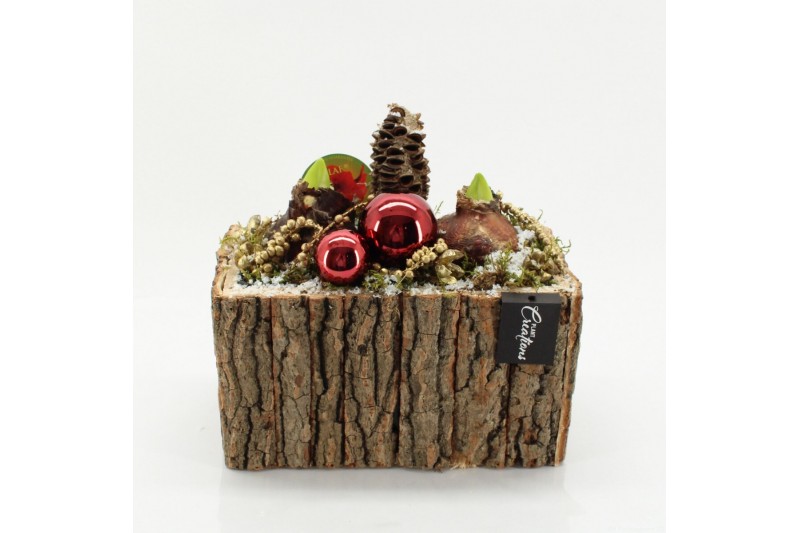 Arrangementen hippeastrum HICR-2529R Kerst Amaryllis 2 pp Arrangementen hippeastrum HICR-2529R Kerst Amaryllis 2 pp