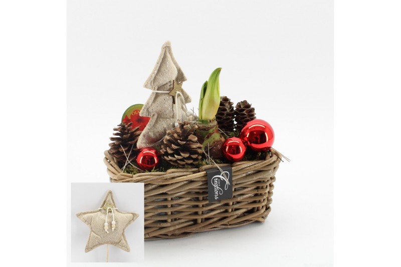 Arrangementen hippeastrum HICR-2525R Kerst Amaryllis 1 pp Arrangementen hippeastrum HICR-2525R Kerst Amaryllis 1 pp