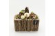 Arrangementen hippeastrum HICR-2529W Kerst Amaryllis 2 pp 