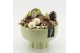 Arrangementen hippeastrum HICR-2535W Kerst Amaryllis 3 pp 