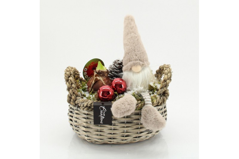 Arrangementen hippeastrum HICR-2531R Kerst Amaryllis 1 pp Arrangementen hippeastrum HICR-2531R Kerst Amaryllis 1 pp