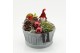 Arrangementen hippeastrum HICR-2532R Kerst Amaryllis 1 pp 