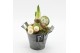 Arrangementen hippeastrum HXFD-2508W Xmas Amaryllis Fundamentals 1 pp 