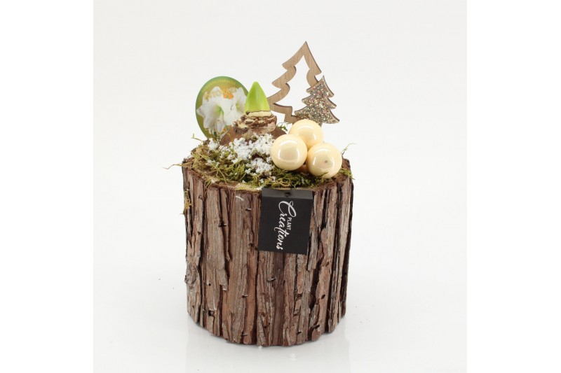 Arrangementen hippeastrum HICR-2528W Kerst Amaryllis 1 pp Arrangementen hippeastrum HICR-2528W Kerst Amaryllis 1 pp
