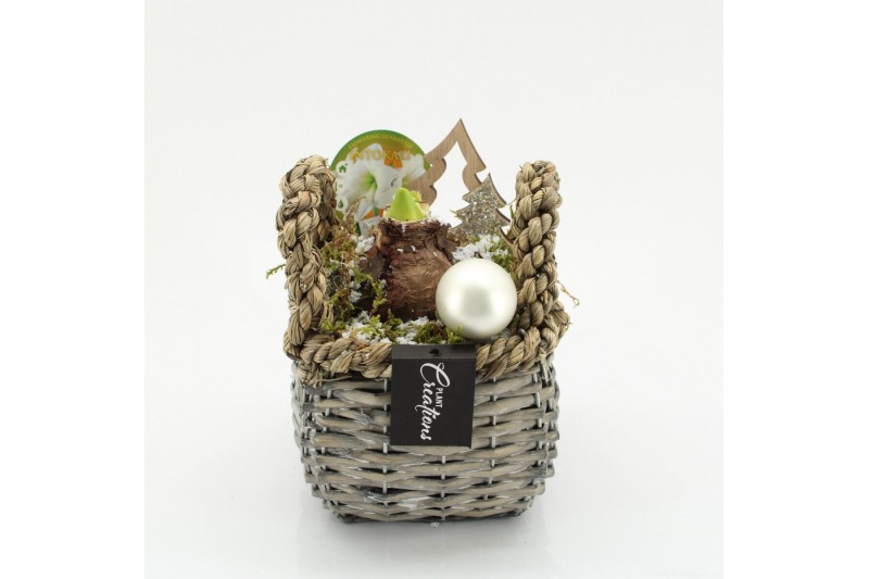 Arrangementen hippeastrum HICR-2530W Kerst Amaryllis 1 pp Arrangementen hippeastrum HICR-2530W Kerst Amaryllis 1 pp