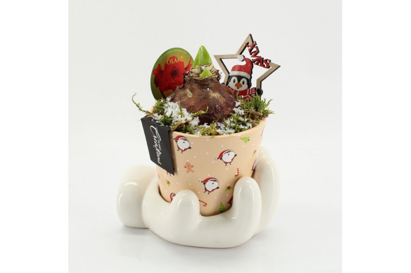 Arrangementen hippeastrum HICR-2514R Kerst Amaryllis 1 pp Arrangementen hippeastrum HICR-2514R Kerst Amaryllis 1 pp