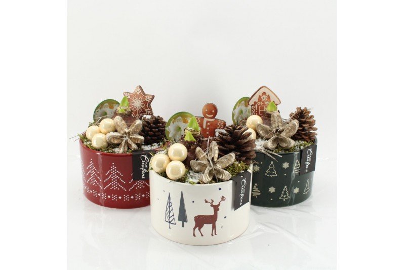 Arrangementen hippeastrum HICR-2513MW Kerst Amaryllis 1 pp Arrangementen hippeastrum HICR-2513MW Kerst Amaryllis 1 pp