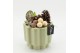 Arrangementen hippeastrum HICR-2534W Kerst Amaryllis 1 pp 