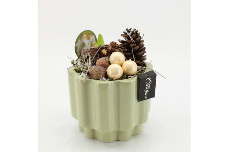 Arrangementen hippeastrum HICR-2534W Kerst Amaryllis 1 pp Arrangementen hippeastrum HICR-2534W Kerst Amaryllis 1 pp