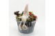 Arrangementen hippeastrum HICR-2533R Kerst Amaryllis 2 pp 
