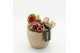 Arrangementen hippeastrum HICR-2518R Kerst Amaryllis 1 pp 