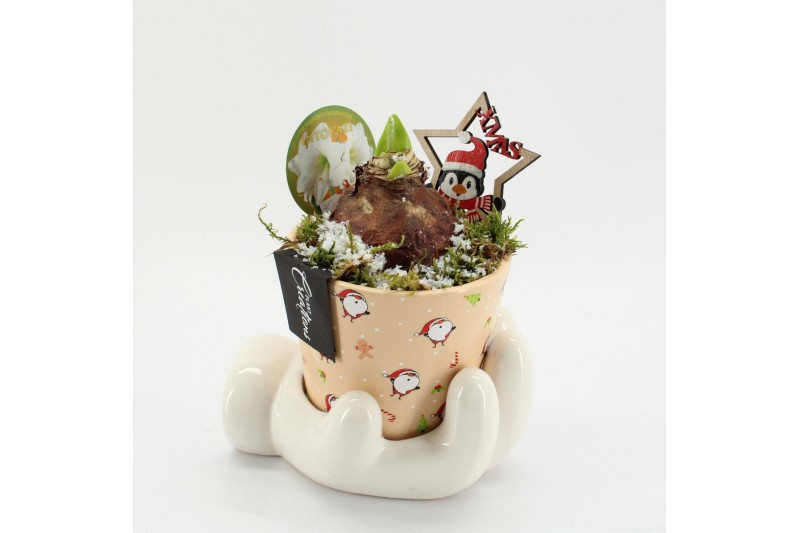 Arrangementen hippeastrum HICR-2514W Kerst Amaryllis 1 pp Arrangementen hippeastrum HICR-2514W Kerst Amaryllis 1 pp