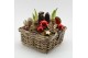 Arrangementen hippeastrum HICR-2526R Kerst Amaryllis 2 pp 