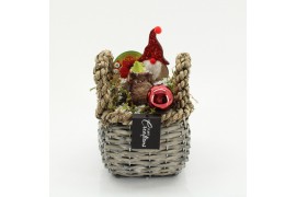 Arrangementen hippeastrum HICR-2530R Kerst Amaryllis 1 pp