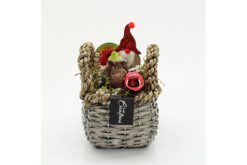 Arrangementen hippeastrum HICR-2530R Kerst Amaryllis 1 pp Arrangementen hippeastrum HICR-2530R Kerst Amaryllis 1 pp
