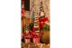 Chamaecyparis lawsoniana ellwoodii Christmas Friends ® 3 kleuren per l 
