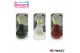 Hippeastrum gewaxt No Water Flowers Waxz Message Printz Xmas met koker 
