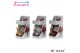 Hippeastrum gewaxt No Water Flowers Waxz Jingle Bellz in Gift Box 