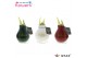 Hippeastrum gewaxt No Water Flowers Waxz Message Printz Xmas 