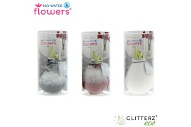Hippeastrum gewaxt No Water Flowers Waxz Snow mix in Koker