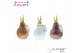 Hippeastrum gewaxt No Water Flowers Glitterz Charm mix 