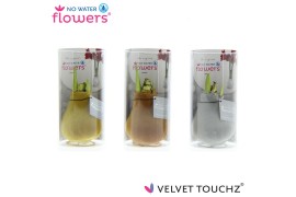 Hippeastrum gewaxt No Water Flowers Velvet Touchz Metallic mix in koke