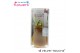 Hippeastrum gewaxt No Water Flowers Velvet Touchz Copper in koker 