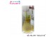 Hippeastrum gewaxt No Water Flowers Velvet Touchz Gold in koker 