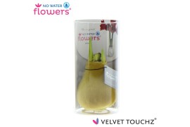 Hippeastrum gewaxt No Water Flowers Velvet Touchz Gold in koker