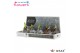 Hippeastrum gewaxt No Water Flowers Waxz Metallic Gold / Silver/ Coppe 