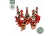 Chamaecyparis lawsoniana ellwoodii Christmas Friends ® Mix-Trolley (Di 