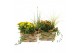 Arrangementen tuinplanten 41622: Outdoor autumn arrangement 3 pp 