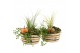 Arrangementen tuinplanten 41633: Outdoor autumn arrangement 3 pp 