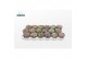 Lithops hookeri Lithops Mix (group) 