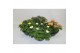 Chrysanthemum ind. cosmo mix Deco Chrysant mixlaag schaal 