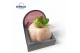 Arrangementen succulenten Concepts® - Himalayan Salt Crystal4 pp 