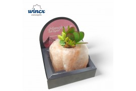 Arrangementen succulenten Concepts® - Himalayan Salt Crystal4 pp