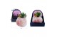 Arrangementen succulenten Concepts® - Himalayan Salt Crystal4 pp 