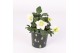 Helleborus niger christmas carol in kerst zink donkergroen met goud 